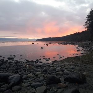 Meet your Posher, Steve